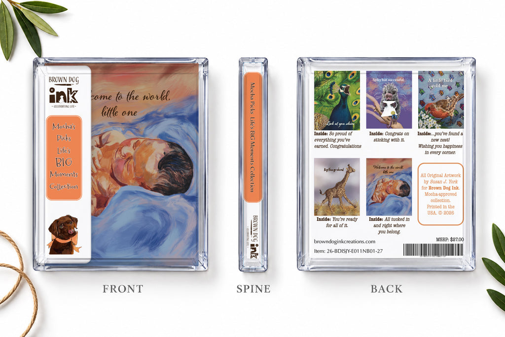 Brown Dog Ink Life’s Big Moments five-card collection showing the clear box front, spine and back with original artwork by Susan J. York and interior messages.