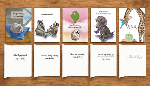 Brown Dog Ink Beautiful Birthday Collection #3 showing the fronts and inside messages of five illustrated animal birthday cards featuring a sleeping cat, raccoons, hedgehog, dog and giraffe. Original artwork by Susan J. York.