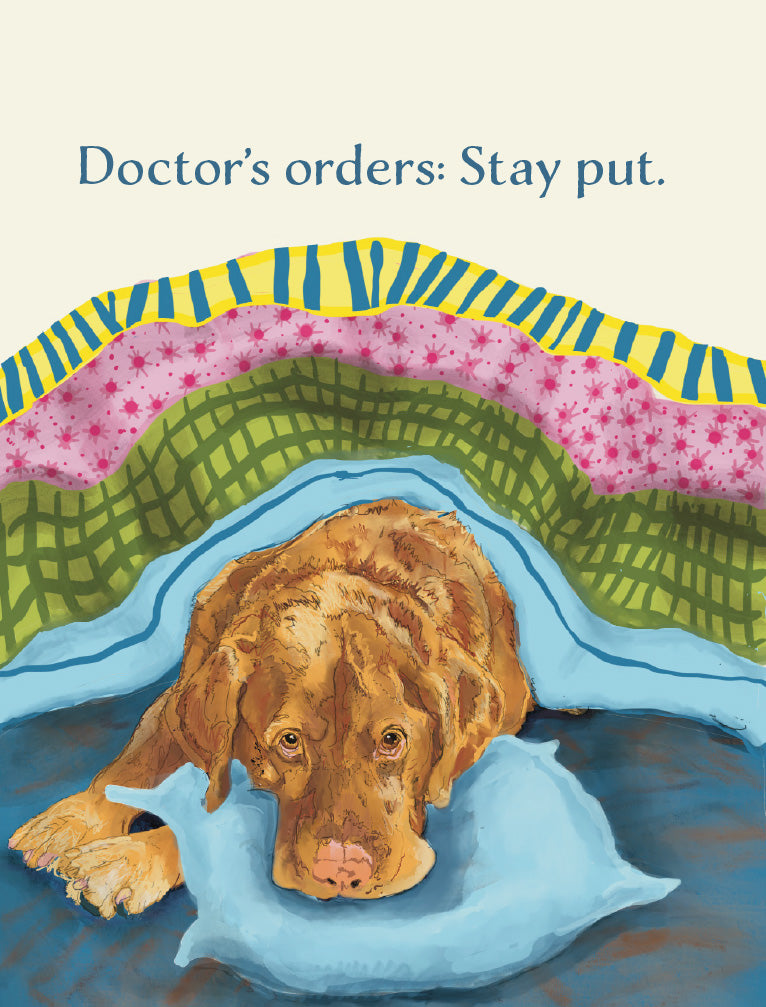 Doctor’s Orders: Get-well greeting card featuring a resting brown dog tucked under colorful blankets with the words “Doctor’s orders: Stay put,” original artwork by Susan J. York.