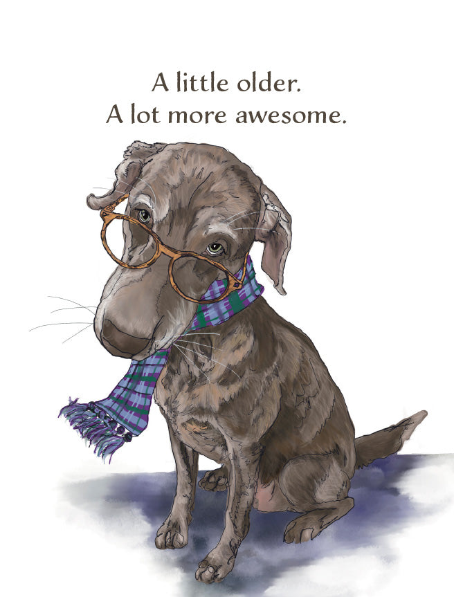A watercolor-style illustration of a brown dog wearing round glasses and a blue plaid scarf, with the text above reading, 'A little older. A lot more awesome. Original artwork by Susan J. York.