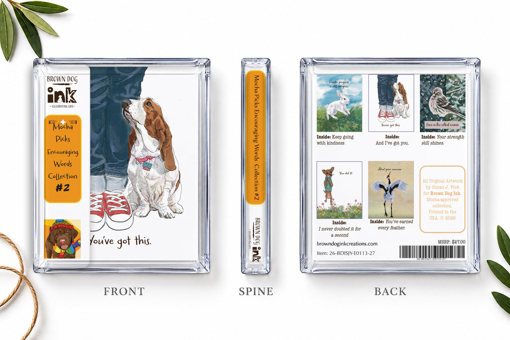 Brown Dog Ink Encouraging Words #2 greeting card collection packaging shown from the front, spine and back, featuring the beagle encouragement card and five original illustrated animal cards by Susan J. York.