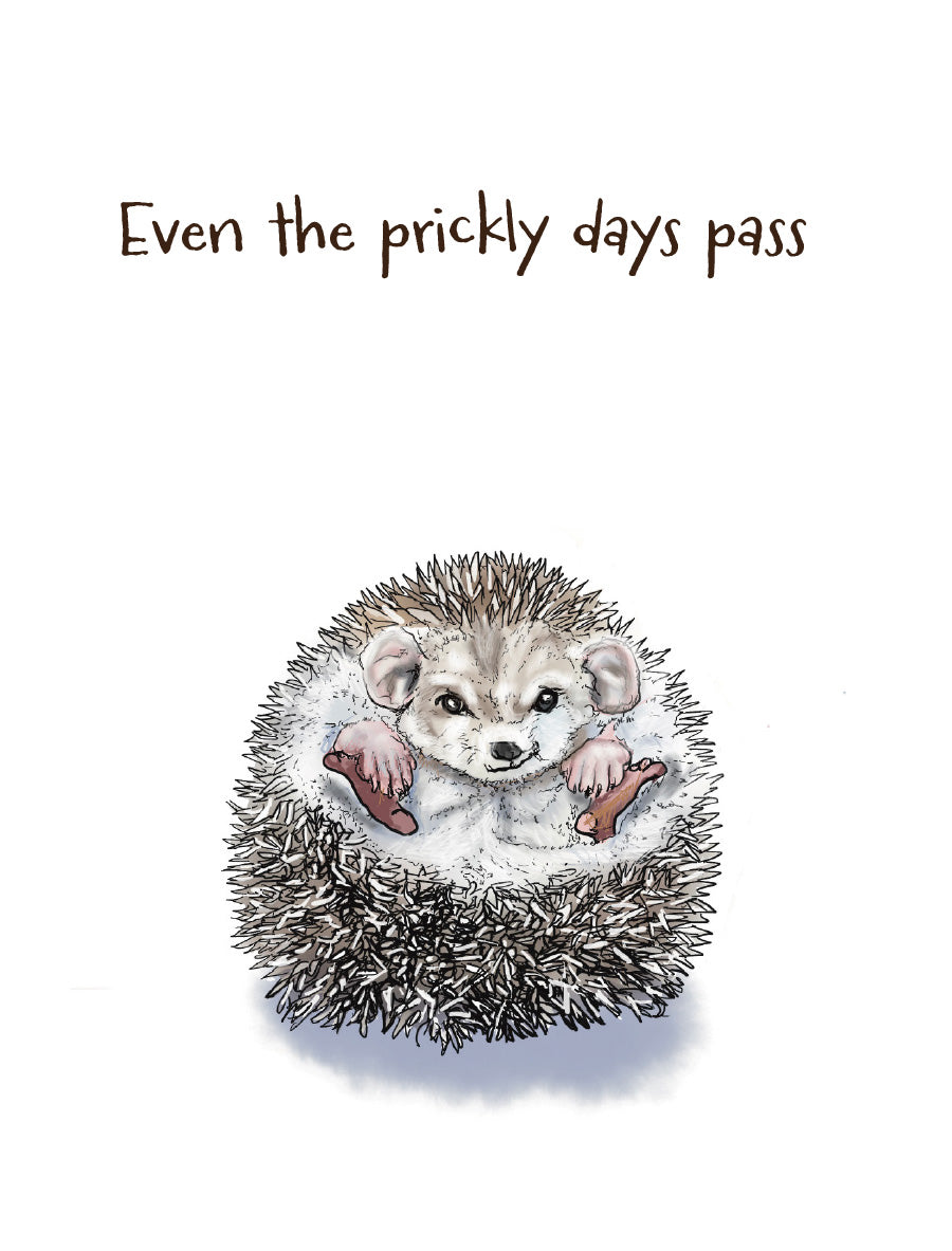 Even the Prickly Days Pass encouragement card featuring a sweet illustrated hedgehog curled into a ball, with original artwork by Susan J. York.