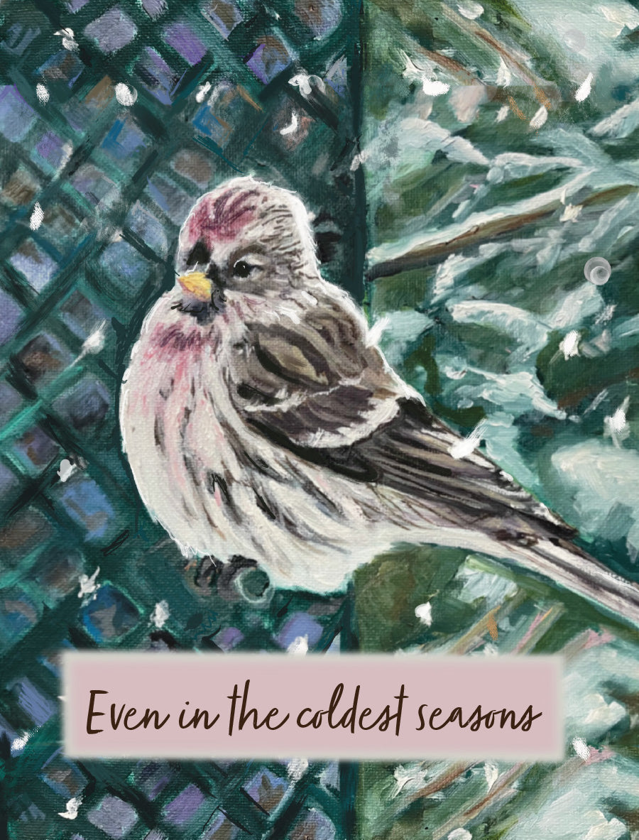 Even in the Coldest Seasons encouragement card featuring an illustrated redpoll perched among snowy evergreen branches, with original artwork by Susan J. York.