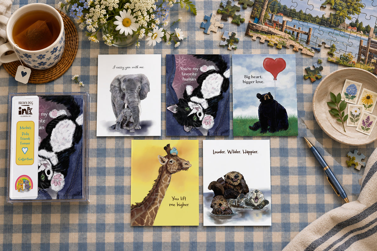 Friends Forever greeting card collection featuring five illustrated friendship cards with original artwork by Susan J. York, including an elephant, cat, bear, giraffe and otters, displayed with Brown Dog Ink packaging on a cozy gingham tabletop.