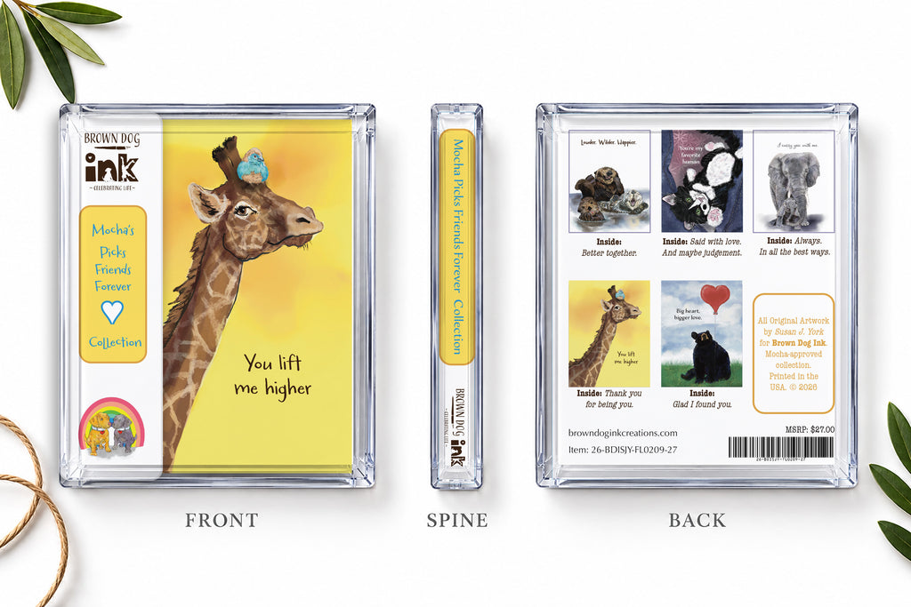 Friends Forever greeting card collection packaging shown from the front, spine and back, featuring five friendship cards with original artwork by Susan J. York for Brown Dog Ink.