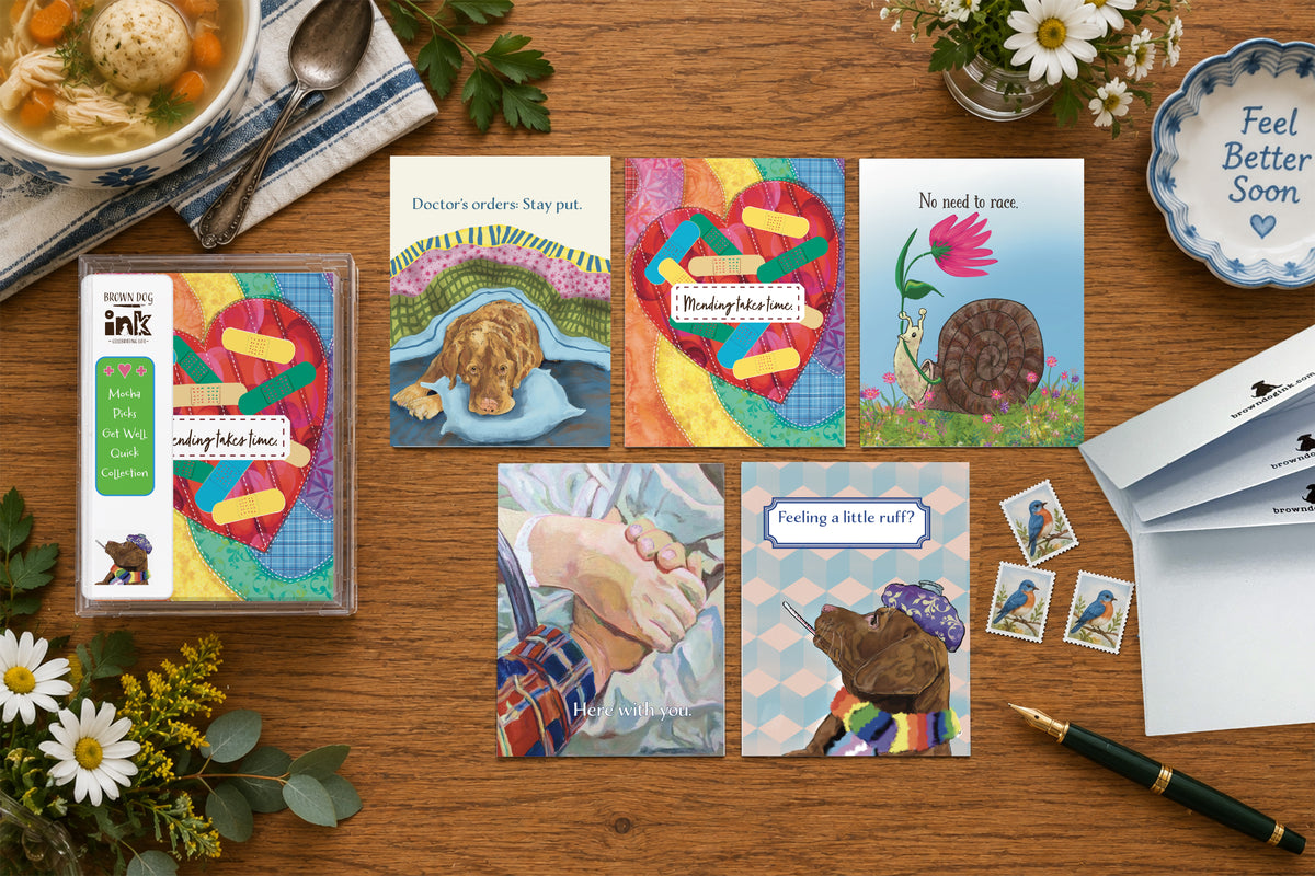 Brown Dog Ink Get Well Quick greeting card collection featuring five illustrated get-well cards by artist Susan J. York, displayed with the boxed collection, chicken soup, flowers, envelopes, stamps and pen.