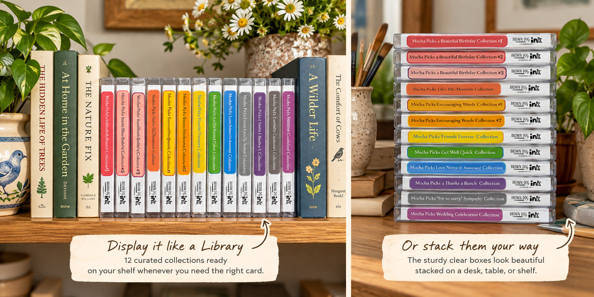 Brown Dog Ink greeting card library showing 12 colorful Mocha Picks card collections displayed upright like books on a shelf and stacked horizontally in sturdy clear boxes.
