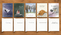 Brown Dog Ink I’m So Sorry Sympathy Collection showing the fronts and inside messages of five illustrated sympathy cards featuring a crane, redpoll, elephants, resting dog and chickadee. Original artwork by Susan J. York.