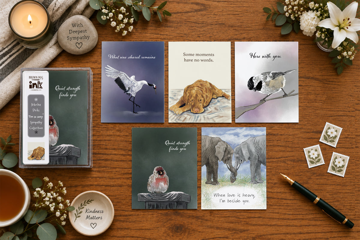 Brown Dog Ink I’m So Sorry Sympathy Collection featuring five illustrated sympathy cards with a crane, resting dog, chickadee, redpoll and elephants, displayed with the clear five-card collection box. Original artwork by Susan J. York.