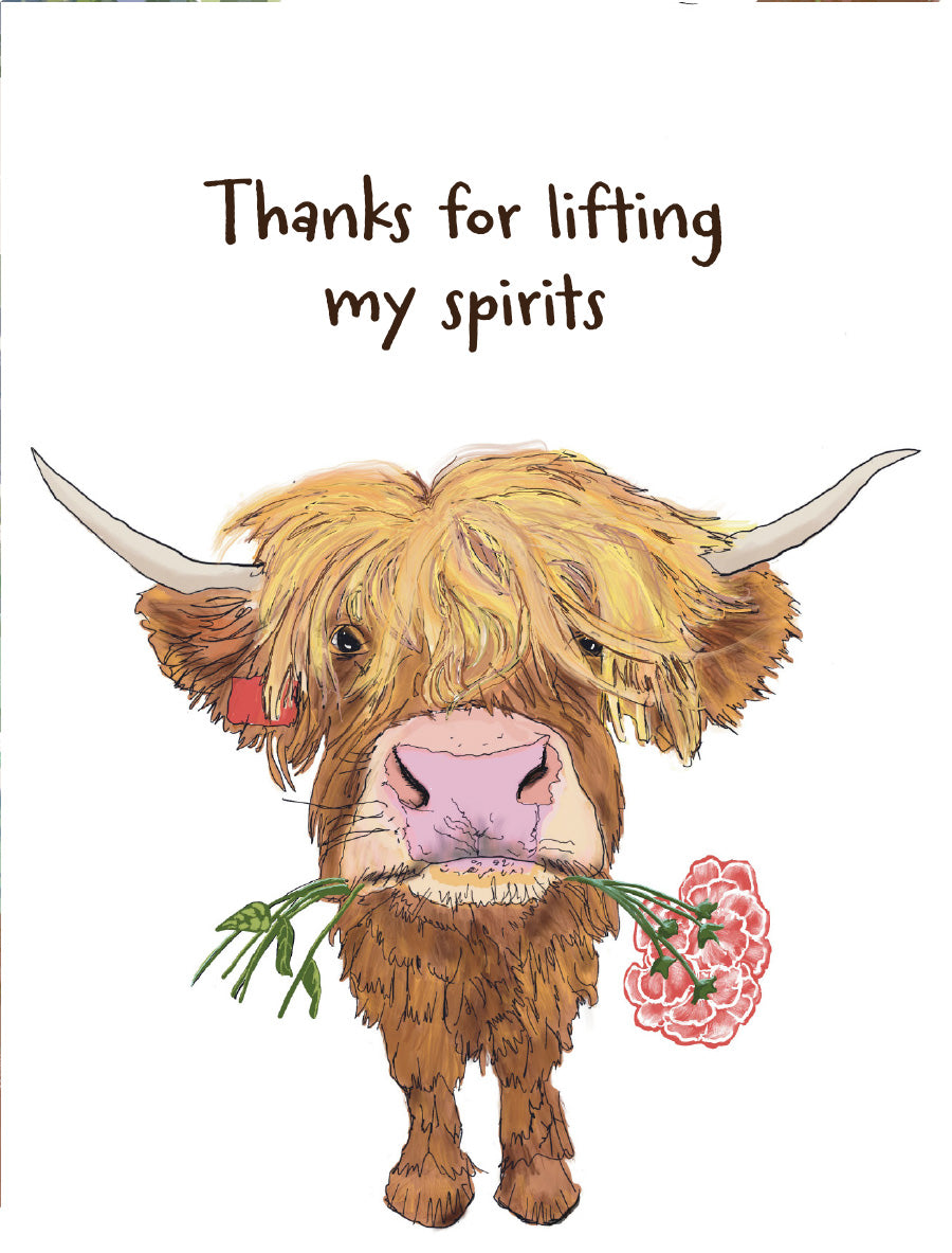 Mocha Picks “Thanks a Bunch” Collection