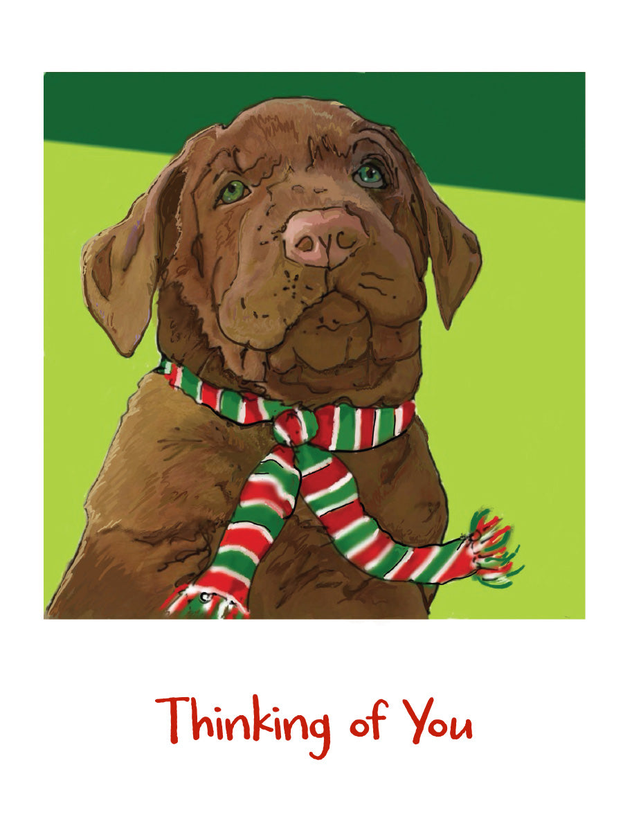 A greeting card design featuring an illustration of a brown dog wearing a red and green striped scarf, with the text 'Thinking of You' printed below on a white card background. Original artwork by Susan J. York. 