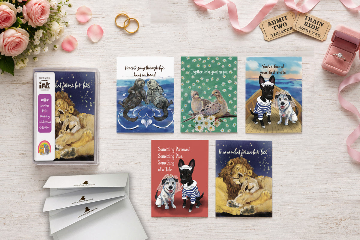 Wedding Celebration greeting card collection featuring five illustrated wedding and love cards with original artwork by Susan J. York, displayed with Brown Dog Ink packaging and envelopes.