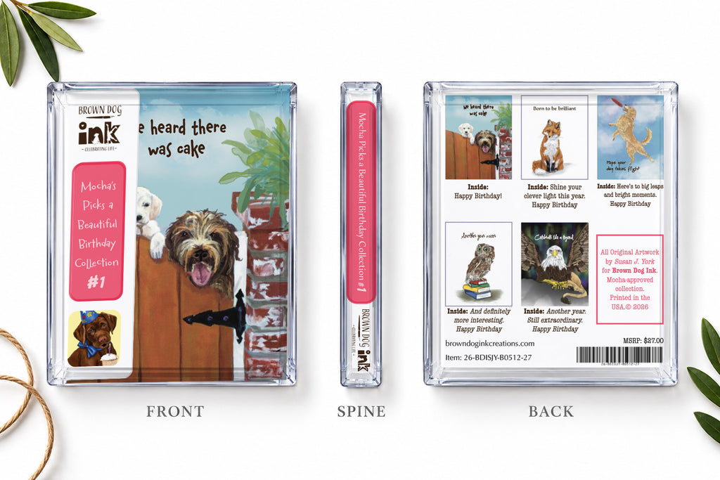 Brown Dog Ink Birthday Collection #1 card box showing the illustrated front, labeled spine, and back with five card designs and inside messages.